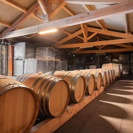 Weingut 20-m-pool Und Kino Villa Pézenas
