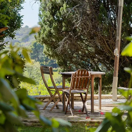 Wine Estate 20m Pool And Cinema Villa *